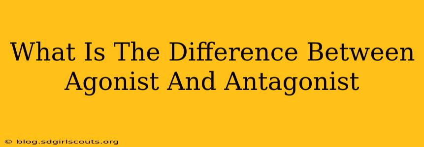 What Is The Difference Between Agonist And Antagonist