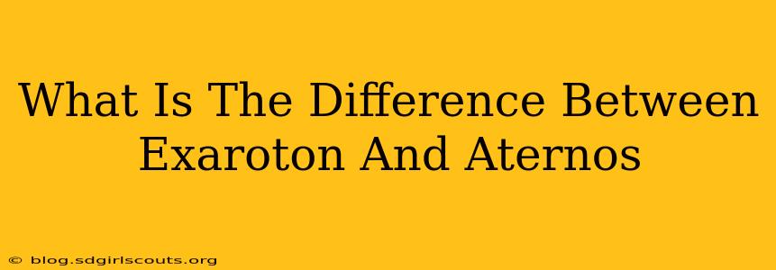 What Is The Difference Between Exaroton And Aternos