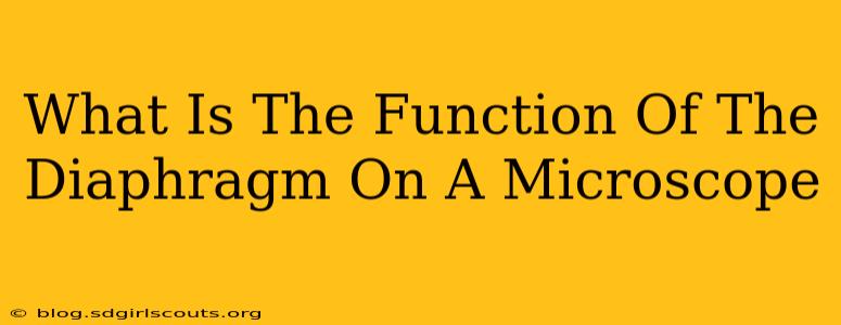 What Is The Function Of The Diaphragm On A Microscope
