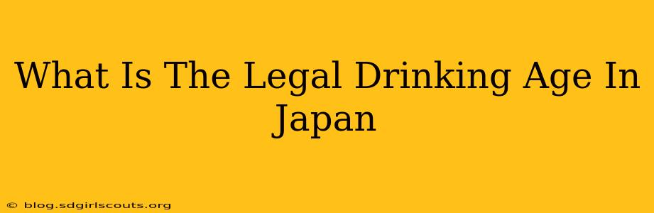 What Is The Legal Drinking Age In Japan
