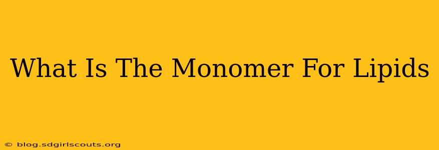 What Is The Monomer For Lipids