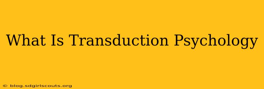 What Is Transduction Psychology