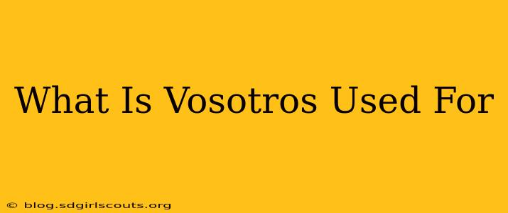 What Is Vosotros Used For