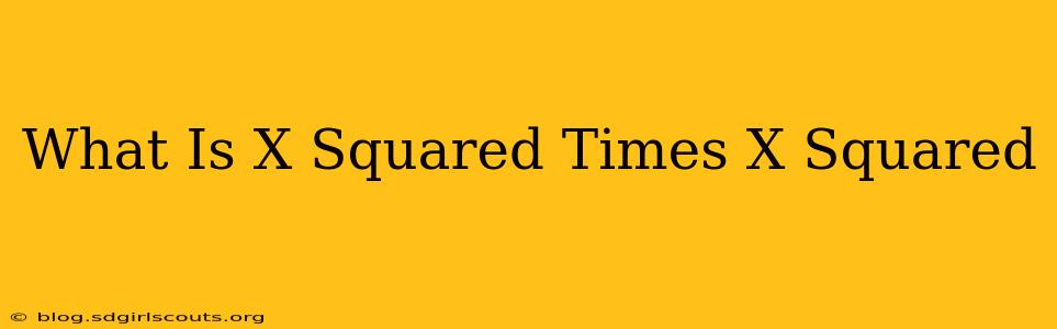 What Is X Squared Times X Squared