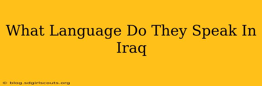 What Language Do They Speak In Iraq