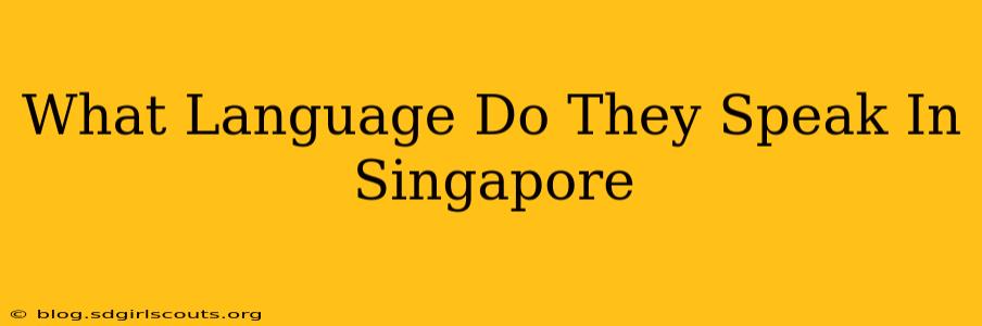 What Language Do They Speak In Singapore