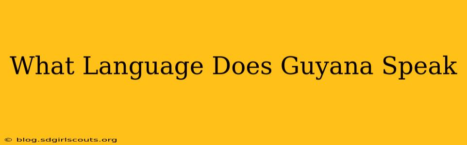 What Language Does Guyana Speak