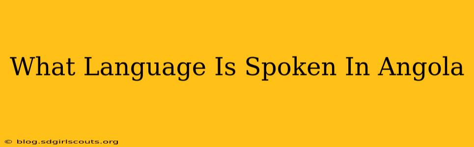 What Language Is Spoken In Angola