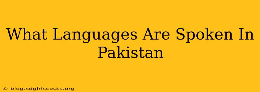 What Languages Are Spoken In Pakistan