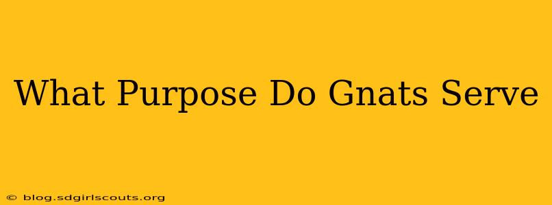 What Purpose Do Gnats Serve