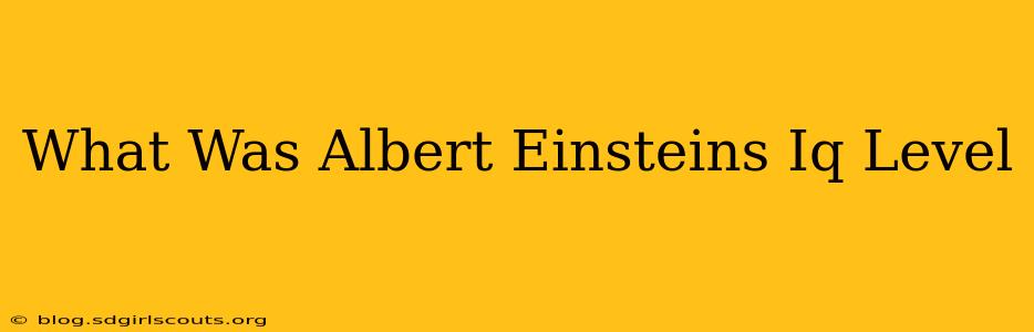 What Was Albert Einsteins Iq Level
