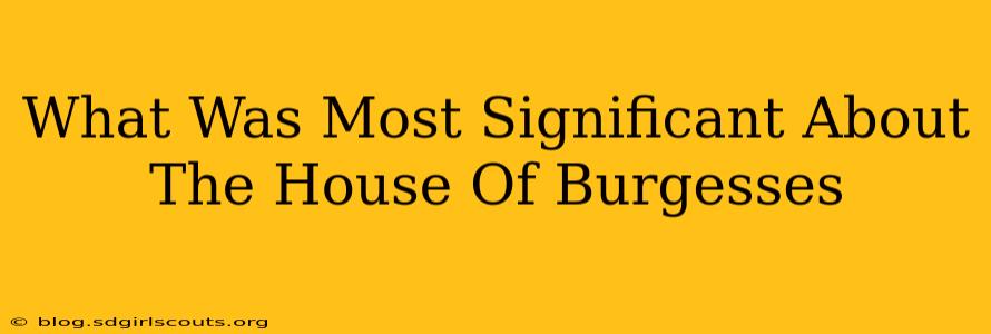 What Was Most Significant About The House Of Burgesses