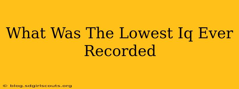 What Was The Lowest Iq Ever Recorded