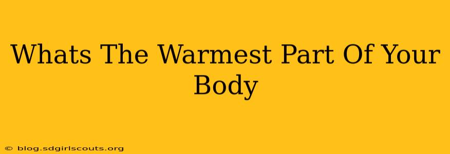Whats The Warmest Part Of Your Body