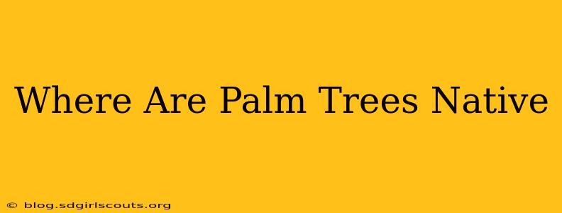 Where Are Palm Trees Native