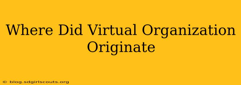 Where Did Virtual Organization Originate