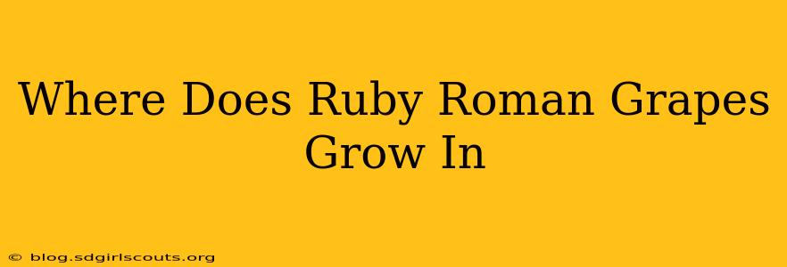 Where Does Ruby Roman Grapes Grow In