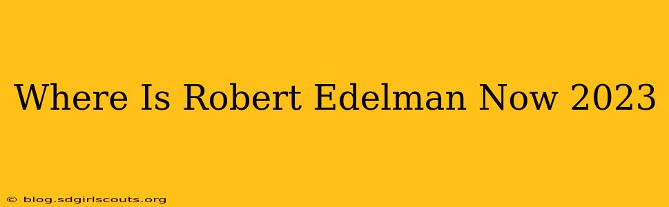 Where Is Robert Edelman Now 2023