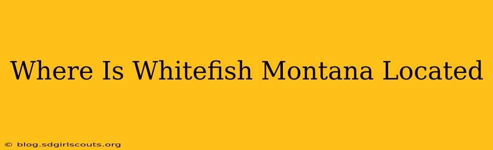 Where Is Whitefish Montana Located