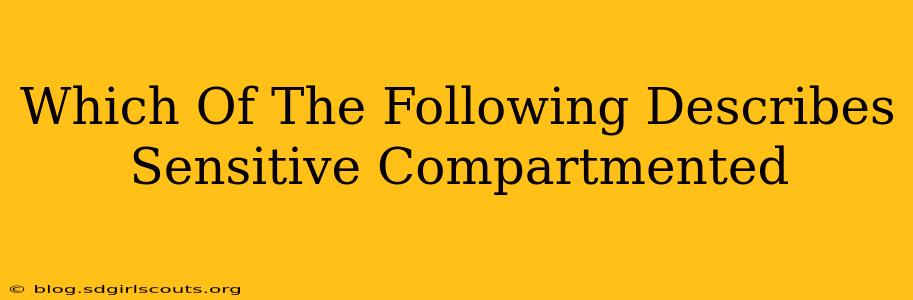 Which Of The Following Describes Sensitive Compartmented