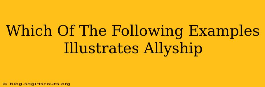 Which Of The Following Examples Illustrates Allyship
