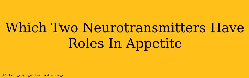 Which Two Neurotransmitters Have Roles In Appetite