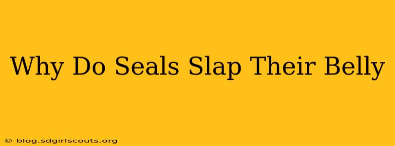 Why Do Seals Slap Their Belly