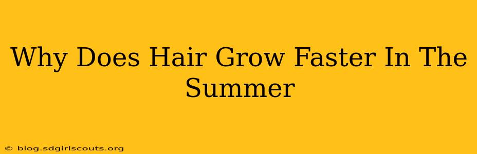 Why Does Hair Grow Faster In The Summer
