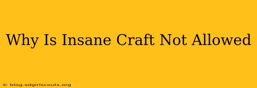 Why Is Insane Craft Not Allowed