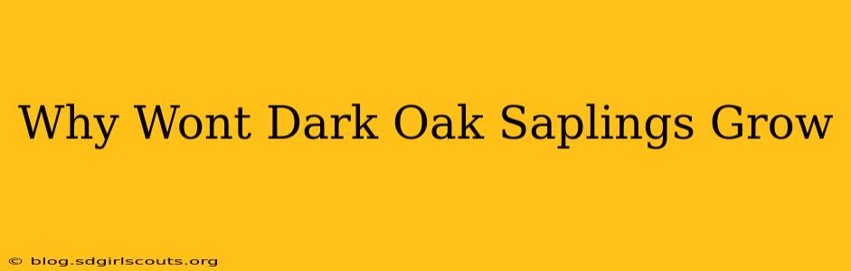 Why Wont Dark Oak Saplings Grow