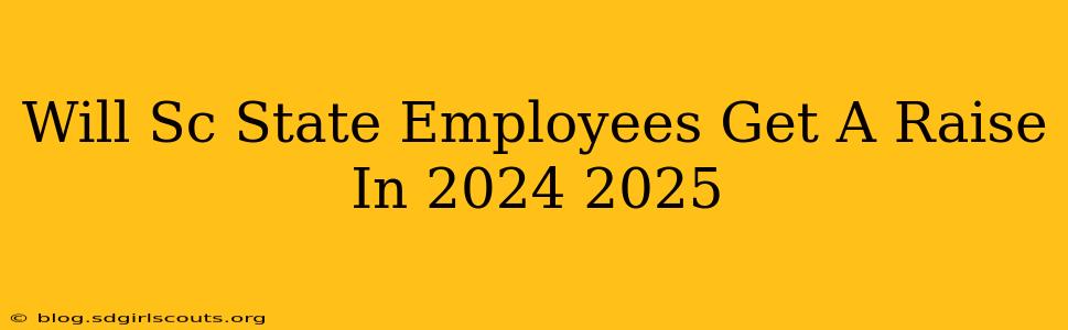 Will Sc State Employees Get A Raise In 2024 2025