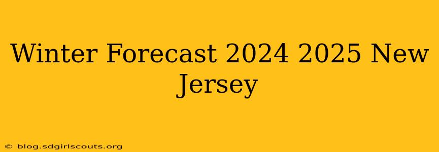 Winter Forecast 2024 2025 New Jersey