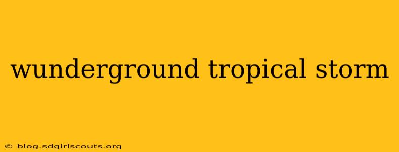 wunderground tropical storm