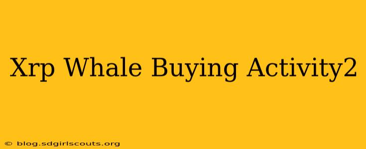 Xrp Whale Buying Activity2