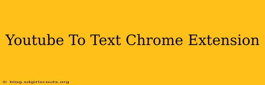 Youtube To Text Chrome Extension
