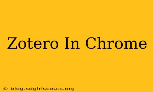 Zotero In Chrome
